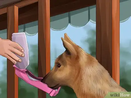 Image intitulée Take Care of a German Shepherd Step 14