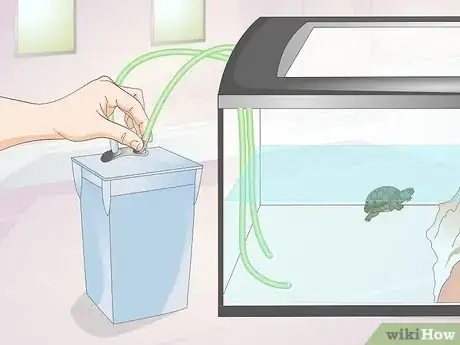 Image intitulée Keep a Turtle Healthy Step 2