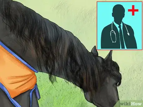 Image intitulée Make Your Horses' Coat Shine Step 9