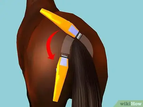 Image intitulée Clip Your Horse Step 18