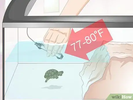 Image intitulée Keep a Turtle Healthy Step 6