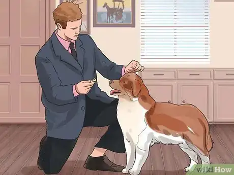 Image intitulée Be a Good Dog Owner Step 12