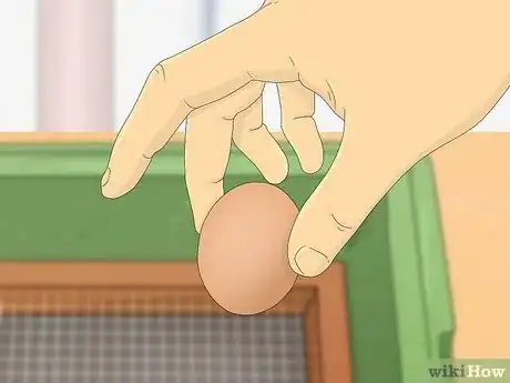 Image intitulée Make a Simple Homemade Incubator for Chicks Step 7