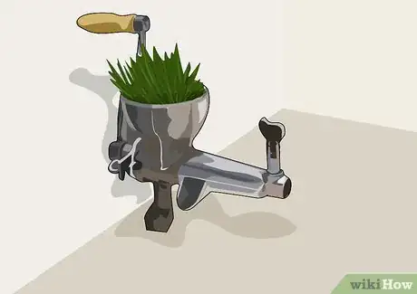 Image intitulée Juice Wheatgrass Step 5