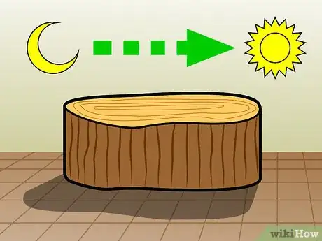 Image intitulée Preserve a Tree Stump Step 15