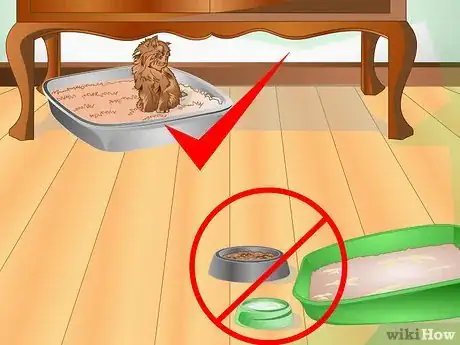 Image intitulée Maintain Your Kitten's Litter Box Step 16