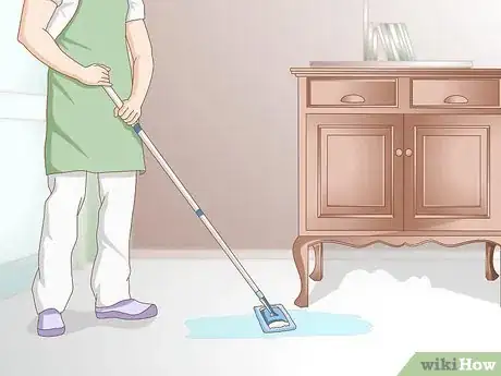 Image intitulée Get Rid of Cat Spray Odor Step 5