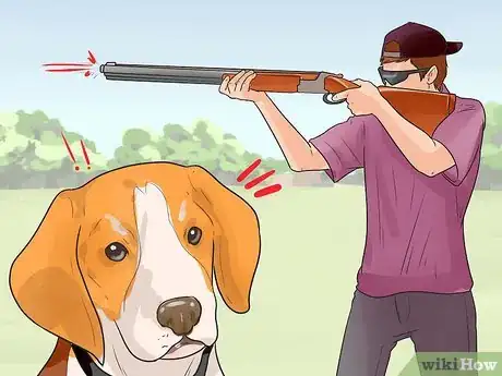 Image intitulée Train a Dog for Rabbit Hunting Step 13