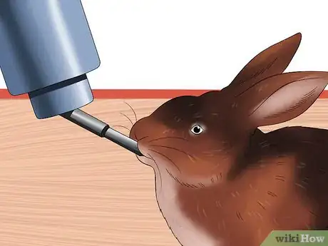 Image intitulée Treat Heat Stroke in Rabbits Step 3