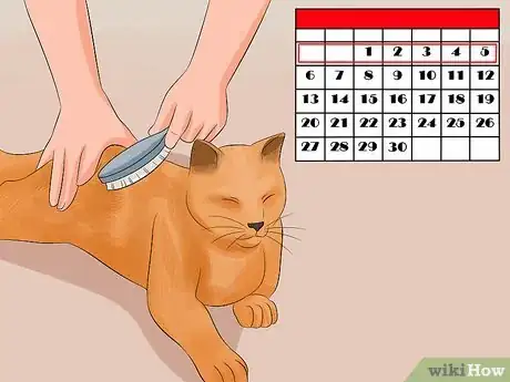 Image intitulée Make Your Cat's Fur Soft and Shiny Step 2