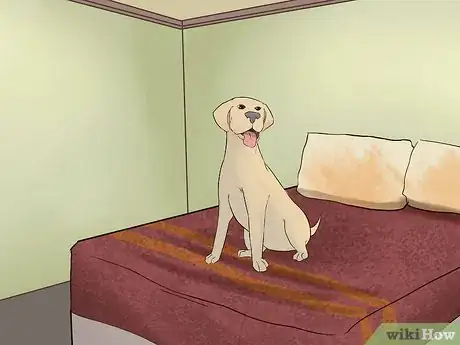Image intitulée Make a Dog Love You Step 1