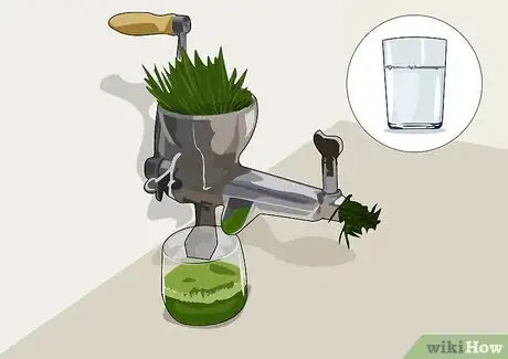 Image intitulée Juice Wheatgrass Step 7