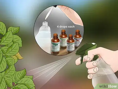 Image intitulée Control Aphids Step 10