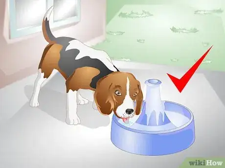 Image intitulée Get a Sick Dog to Drink Step 8