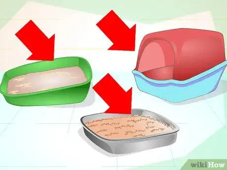 Image intitulée Maintain Your Kitten's Litter Box Step 15