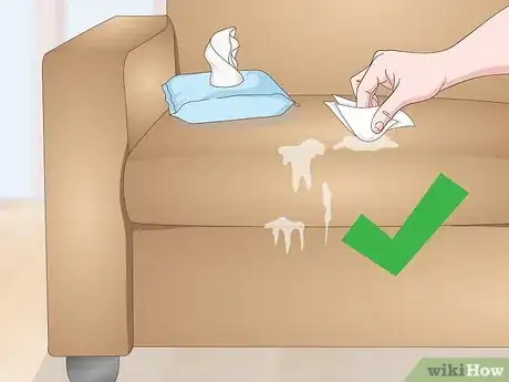 Image intitulée Remove Dog Saliva Stains Step 11