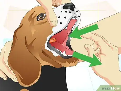 Image intitulée Get Your Dog to Take His Medicine Step 5