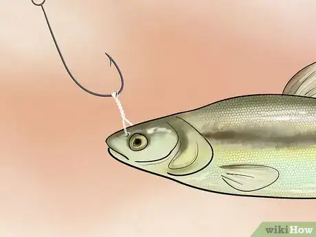 Image intitulée Bait a Fishing Hook Step 25