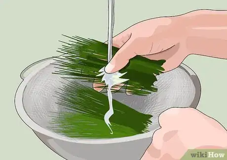 Image intitulée Juice Wheatgrass Step 2