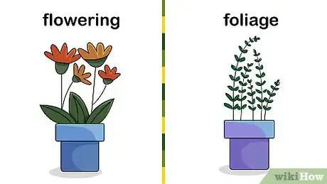 Image intitulée Grow Houseplants Step 3
