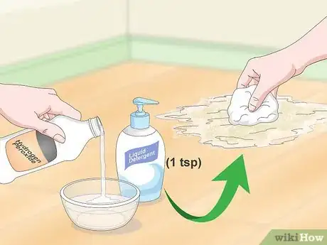 Image intitulée Clean Cat Urine Step 15