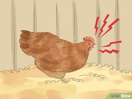 Image intitulée Tell if a Chicken is Sick Step 19
