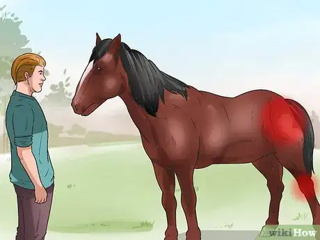 Image intitulée Tell if Your Horse Needs Hock Injections Step 13