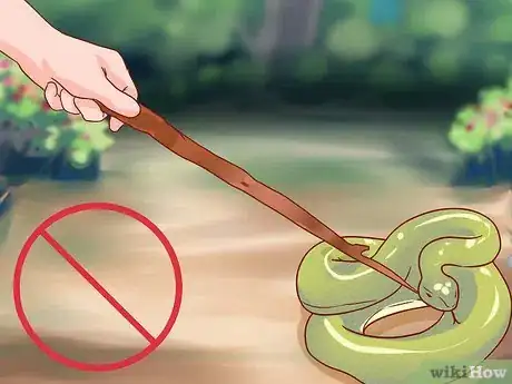 Image intitulée Survive Being Bitten by a Venomous Snake Step 13