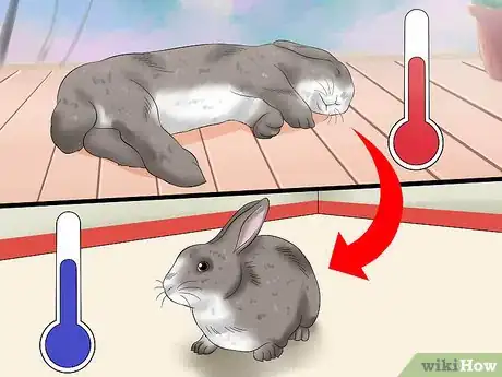 Image intitulée Treat Heat Stroke in Rabbits Step 1