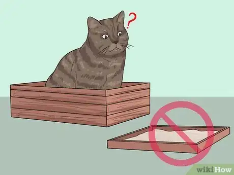 Image intitulée Retrain a Cat to Use the Litter Box Step 1