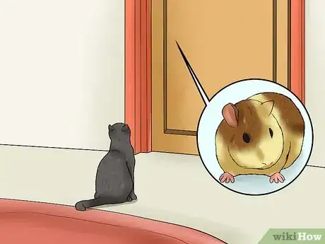 Image intitulée Keep Guinea Pigs when You Have Cats Step 2