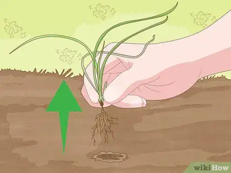 Image intitulée Build a Rock Garden with Weed Prevention Step 14