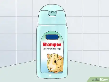 Image intitulée Keep Your Guinea Pigs Smelling Good Step 7