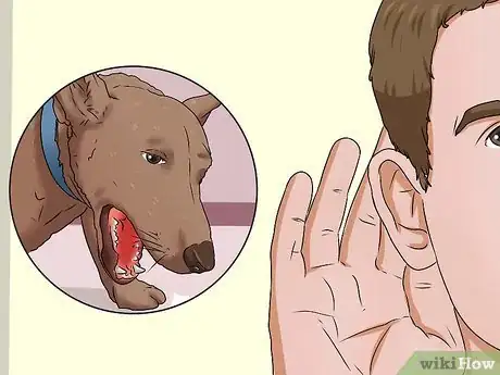 Image intitulée Treat Kennel Cough Step 2