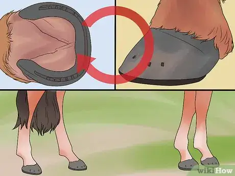 Image intitulée Shoe a Horse Step 13