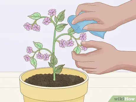 Image intitulée Get Rid of Mold on Houseplants Step 13