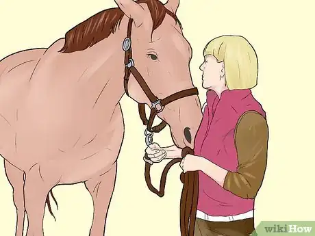 Image intitulée Befriend a Horse Step 9