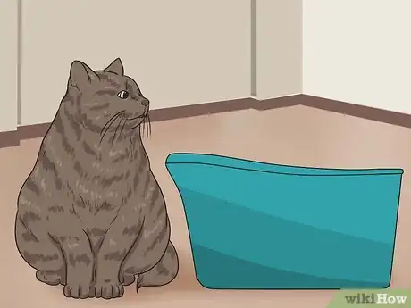 Image intitulée Retrain a Cat to Use the Litter Box Step 8