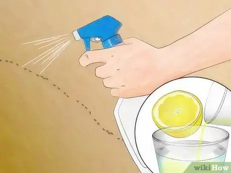 Image intitulée Kill Ants Without Pesticides Step 3