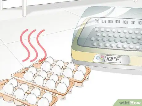 Image intitulée Use an Incubator to Hatch Eggs Step 10