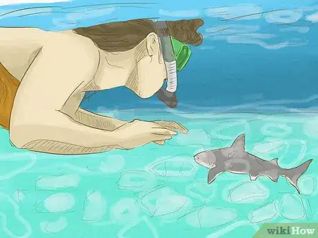 Image intitulée Avoid Sharks Step 10