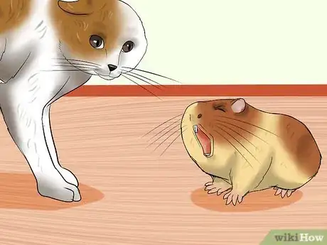 Image intitulée Keep Guinea Pigs when You Have Cats Step 6