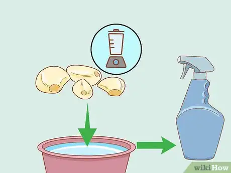 Image intitulée Get Rid of Powdery Mildew on Plants Step 5