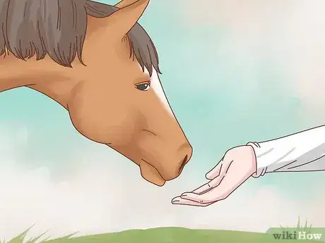 Image intitulée Take Care of Your Horse Step 16