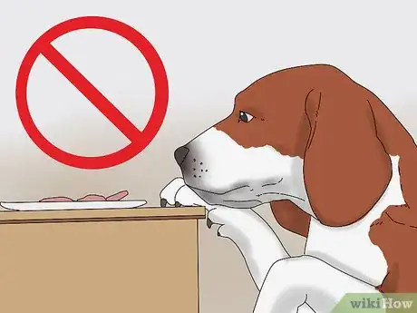 Image intitulée Take Care of Puppies Step 22