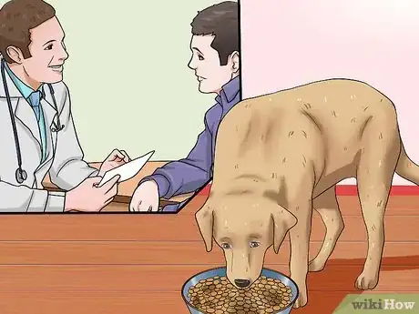 Image intitulée Help Your Dog Lose Weight Step 5