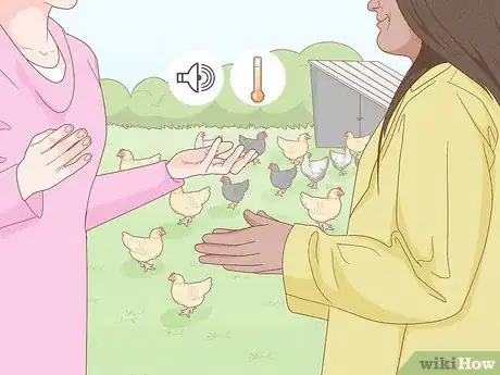 Image intitulée Start a Chicken Farm Step 17