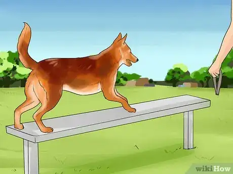 Image intitulée Temperament Test a Dog Step 11