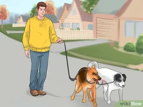 Image intitulée Walk Two Dogs at the Same Time on Leashes Step 9