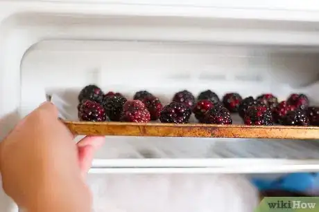 Image intitulée Freeze Blackberries Step 4